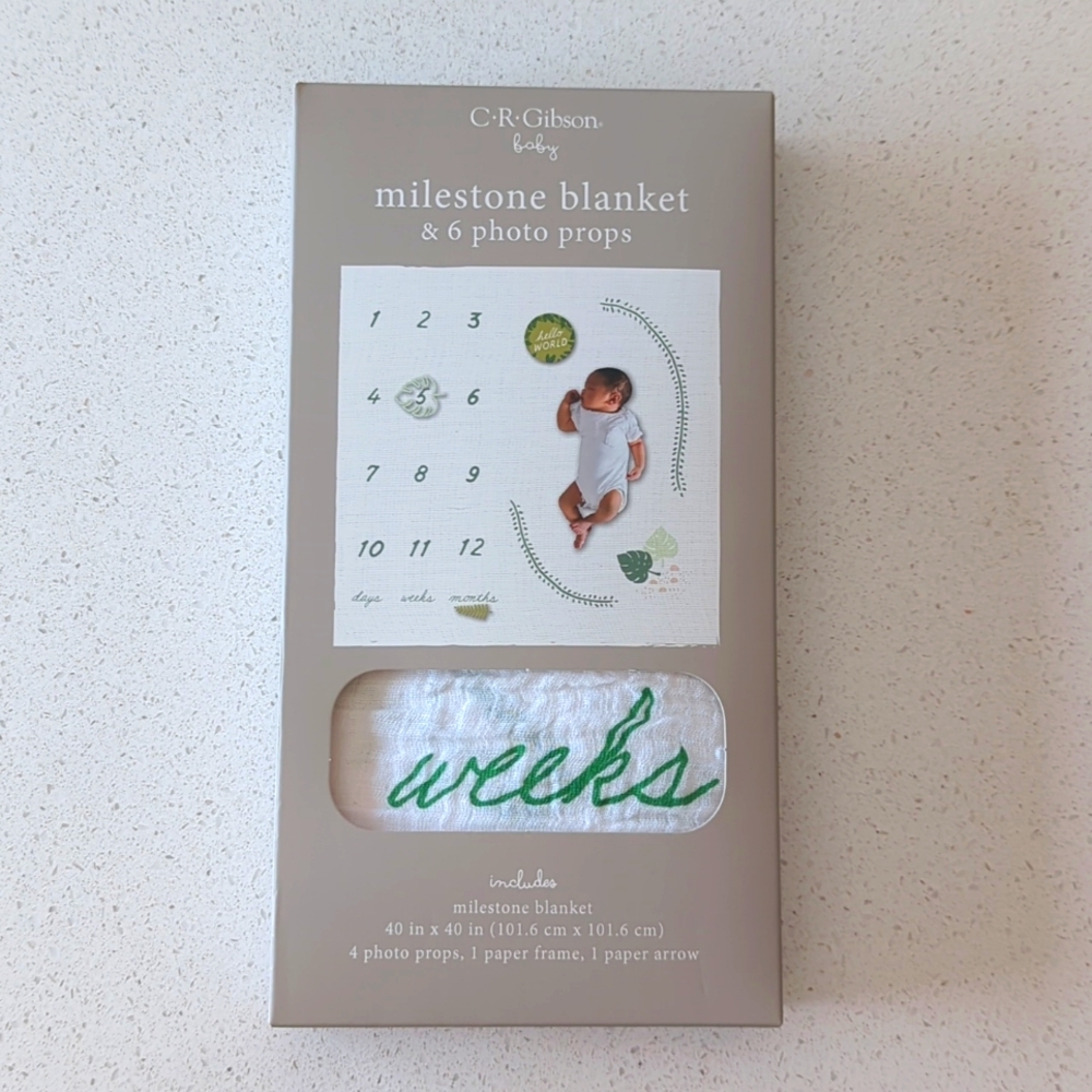 3/$15 C.R. Gibson Baby Milestone Blanket and 6 photo props NIB